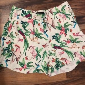 Ann Taylor Bird Printed Shorts Size 8